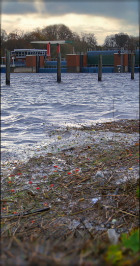 Sturmflut Nov. 2007